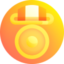 الفئات الذهبية